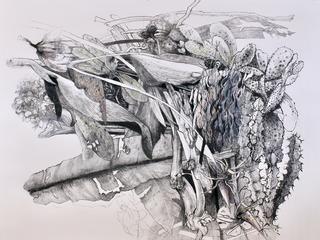 The Australian: Hope yet for the lost art of drawing